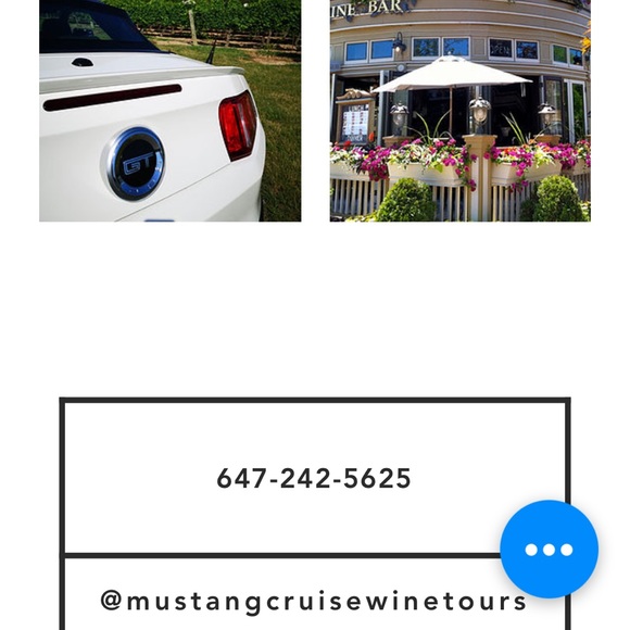 Meet your Posher, Dana - Picture 5 of 5